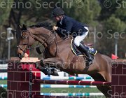 Le Jeune Vikali TosTour2013- S5 2317 : Arezzo, Arezzo Equestrian Centre, Le Jeune Philippe, Toscana Tour 2013, Vikali de l'Heribus, foto di Stefano Secchi ©